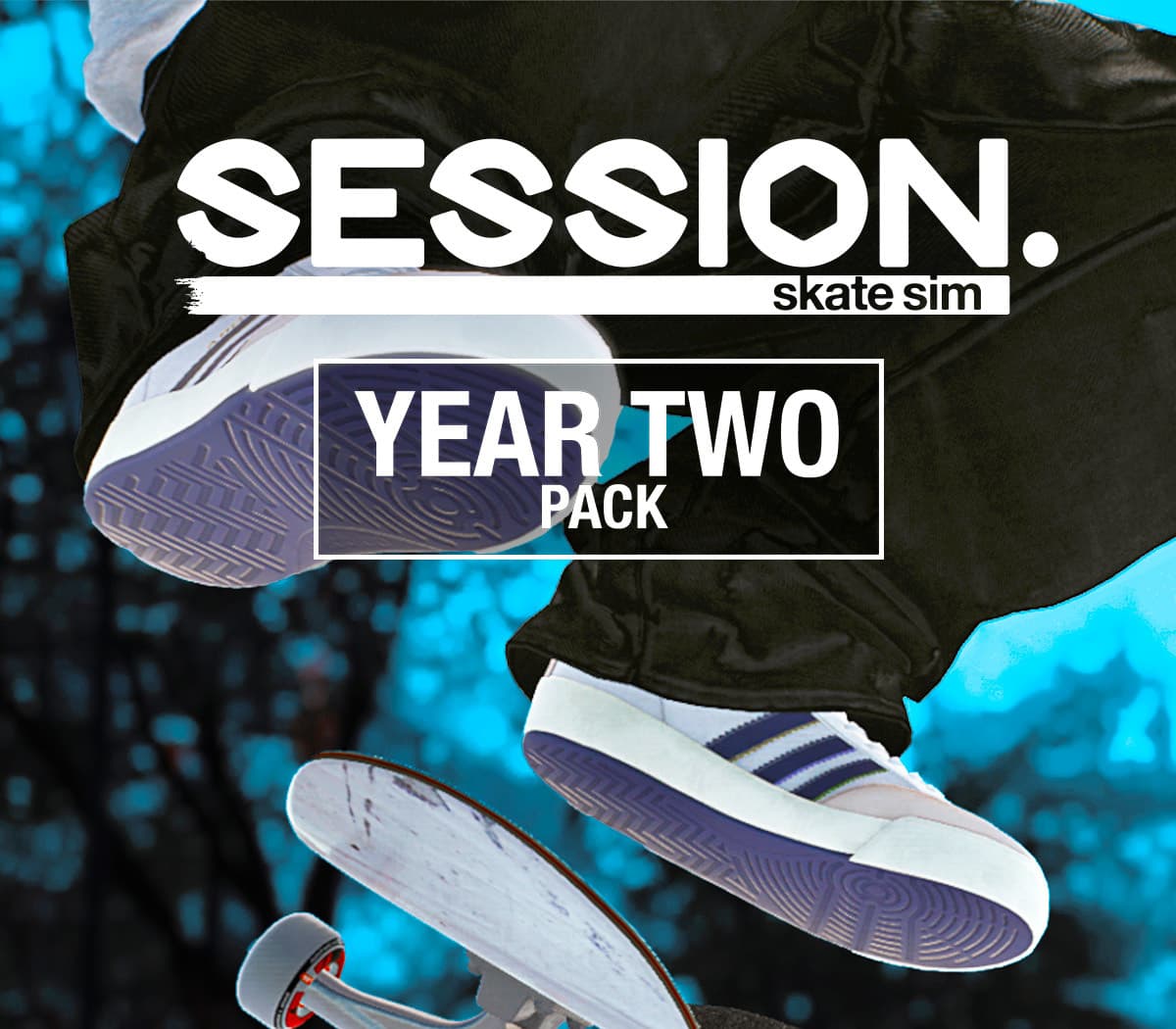 Session: Skate Sim Year Two Pack cover art