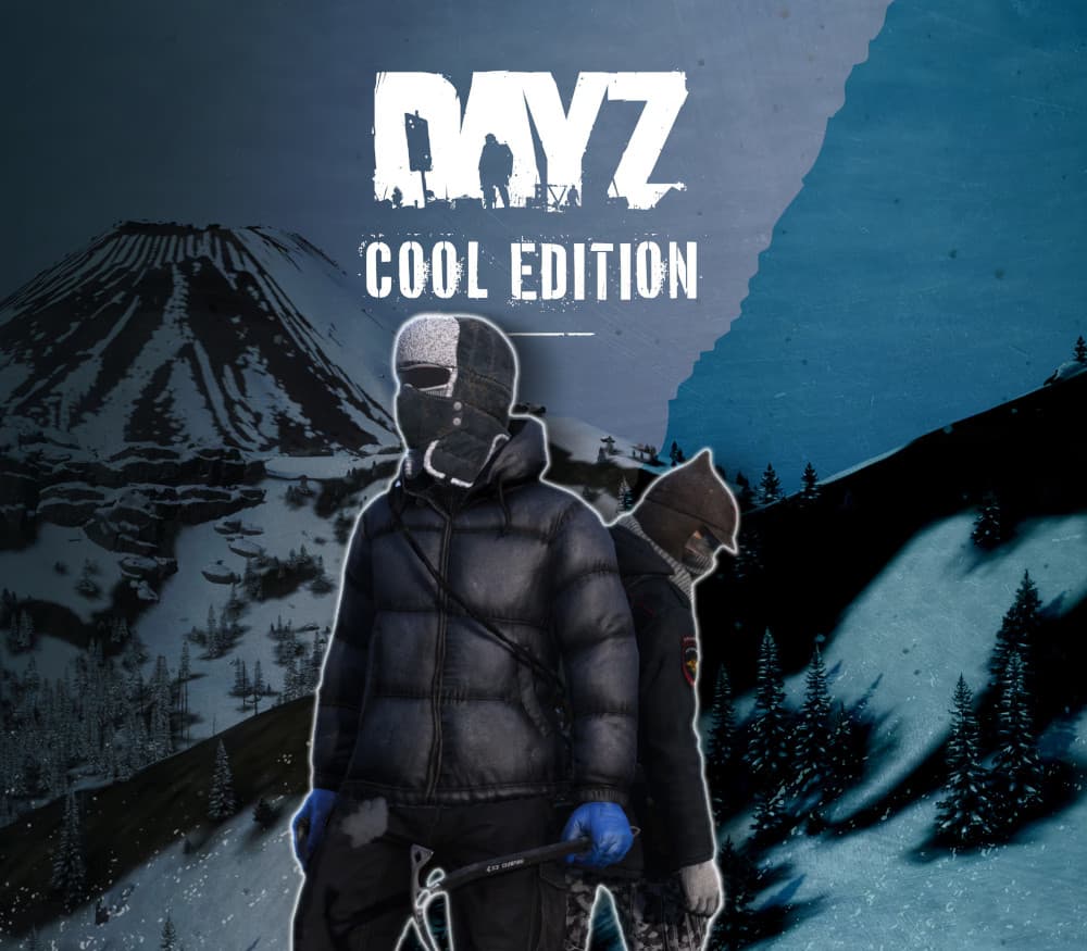 DayZ  cover art