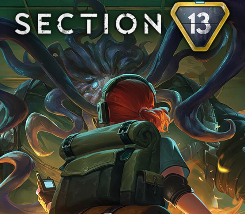 Section 13 cover art
