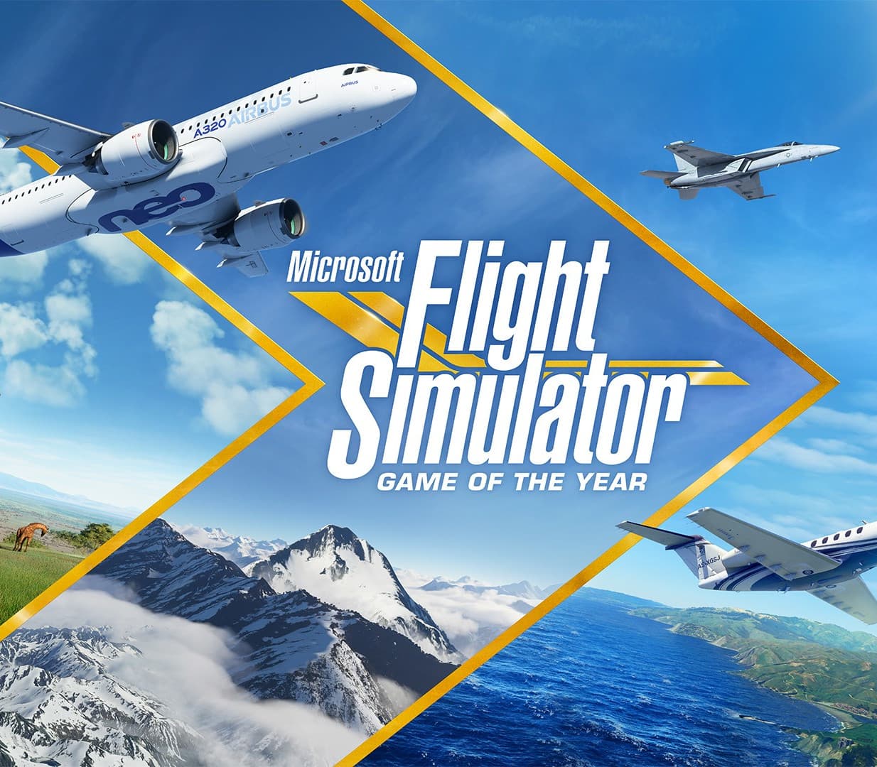 Microsoft Flight Simulator cover art
