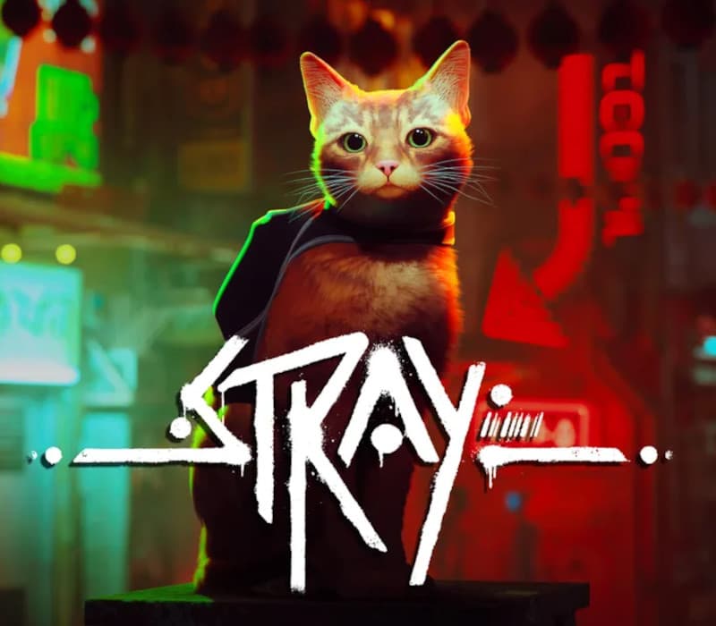 Stray cover art