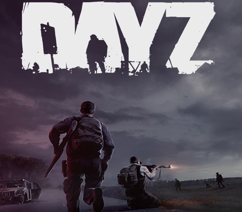 DayZ cover art