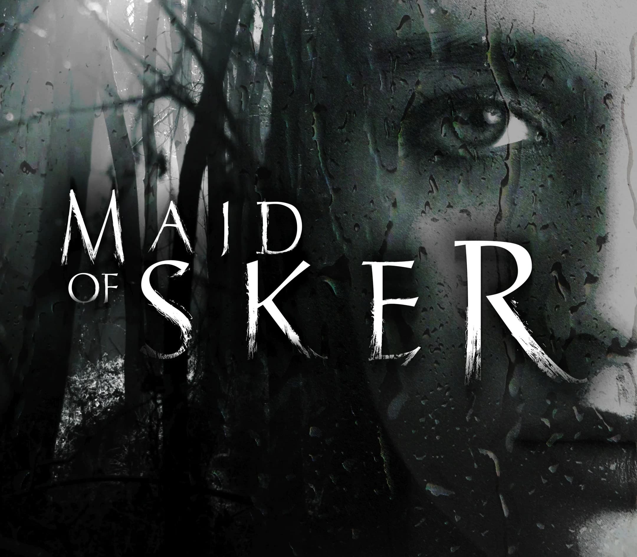 Maid of Sker cover art