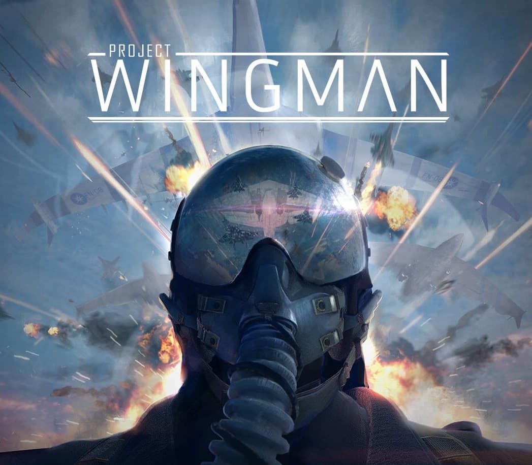 Project Wingman cover art