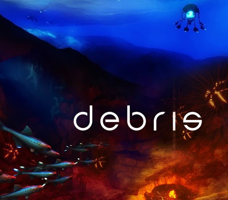 Debris cover art
