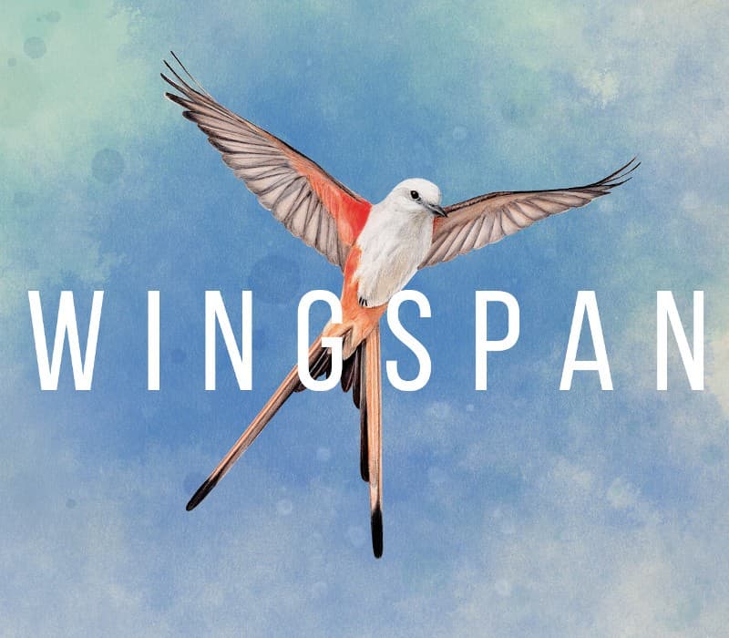 Wingspan cover art